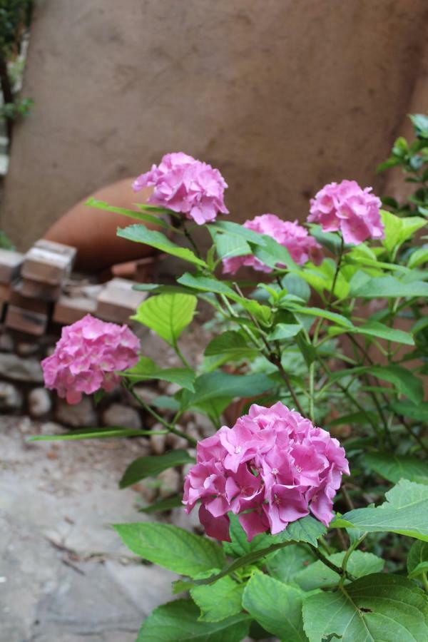 Il Giardino Dei Fiori Lägenhet Mandello del Lario Exteriör bild