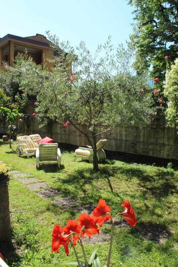 Il Giardino Dei Fiori Lägenhet Mandello del Lario Exteriör bild